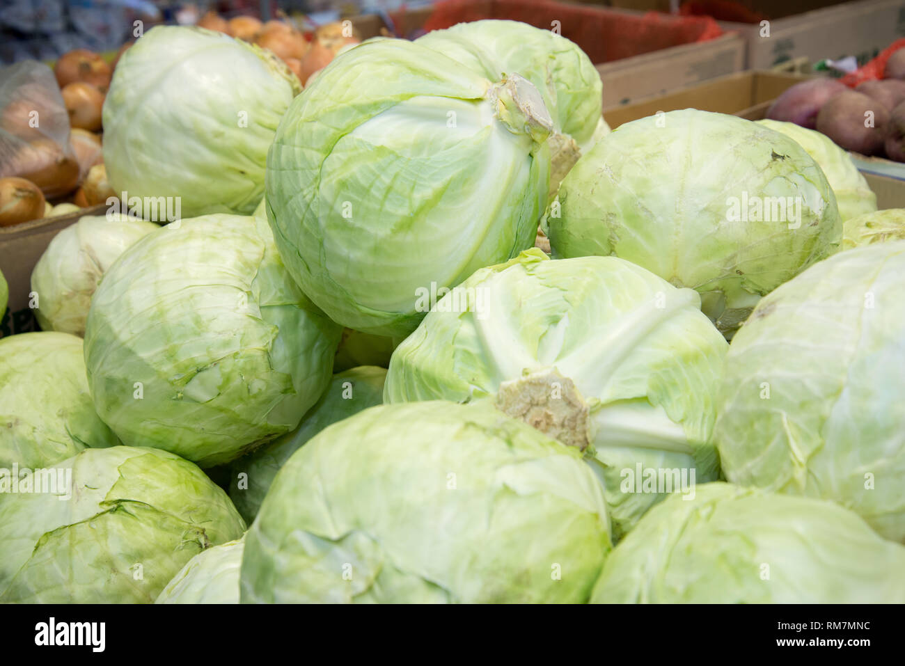 Weisskohl auf dem Regal im Supermarkt. Stockfoto