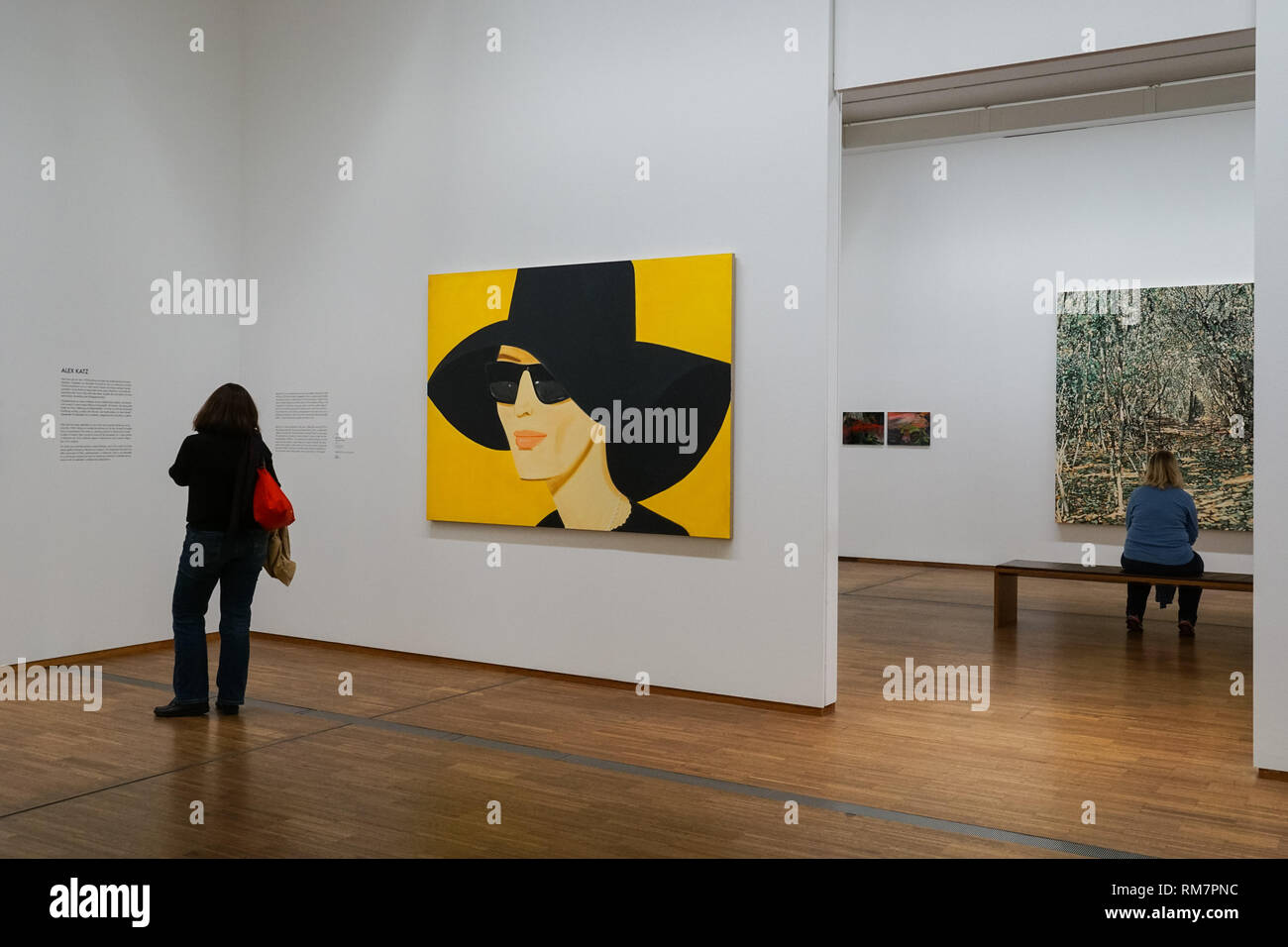 Besucher an der Albertina in Wien, Österreich Stockfoto