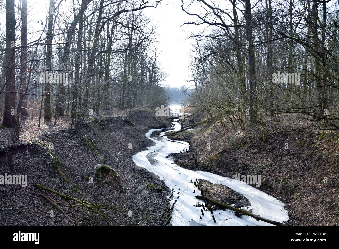 Trzciana Fluss im Winter. 'Dolina Widawy" in der Nähe von Breslau. Natur Schutzgebiete "Natura 2000". Dolnoslaskie, Polen. Stockfoto