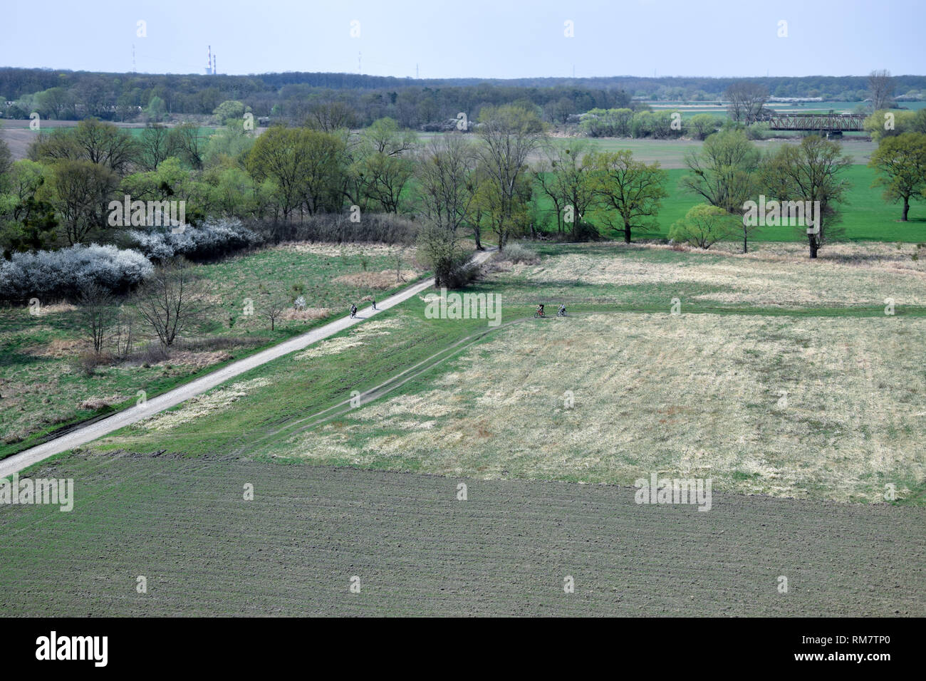 Biker Fahrt unter den Feldern in Grady odrzanskie' - Odra River in der Nähe von Breslau. Natur Schutzgebiete "Natura 2000". Dolnoslaskie, Polen. Stockfoto