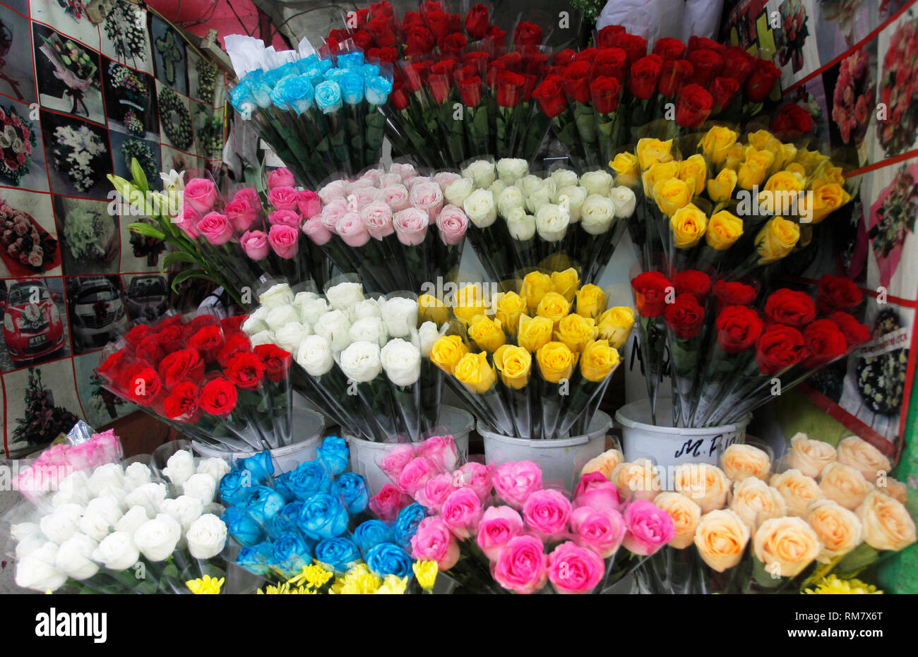 Die Blumen sind in einem der Blume und Coral Blumenläden gesehen. Im Vorfeld des Valentinstag gedenken, Blumenläden begann, die von den Kunden zu Express Zuneigung zu ihren Lieben, die besucht werden sollen. Stockfoto
