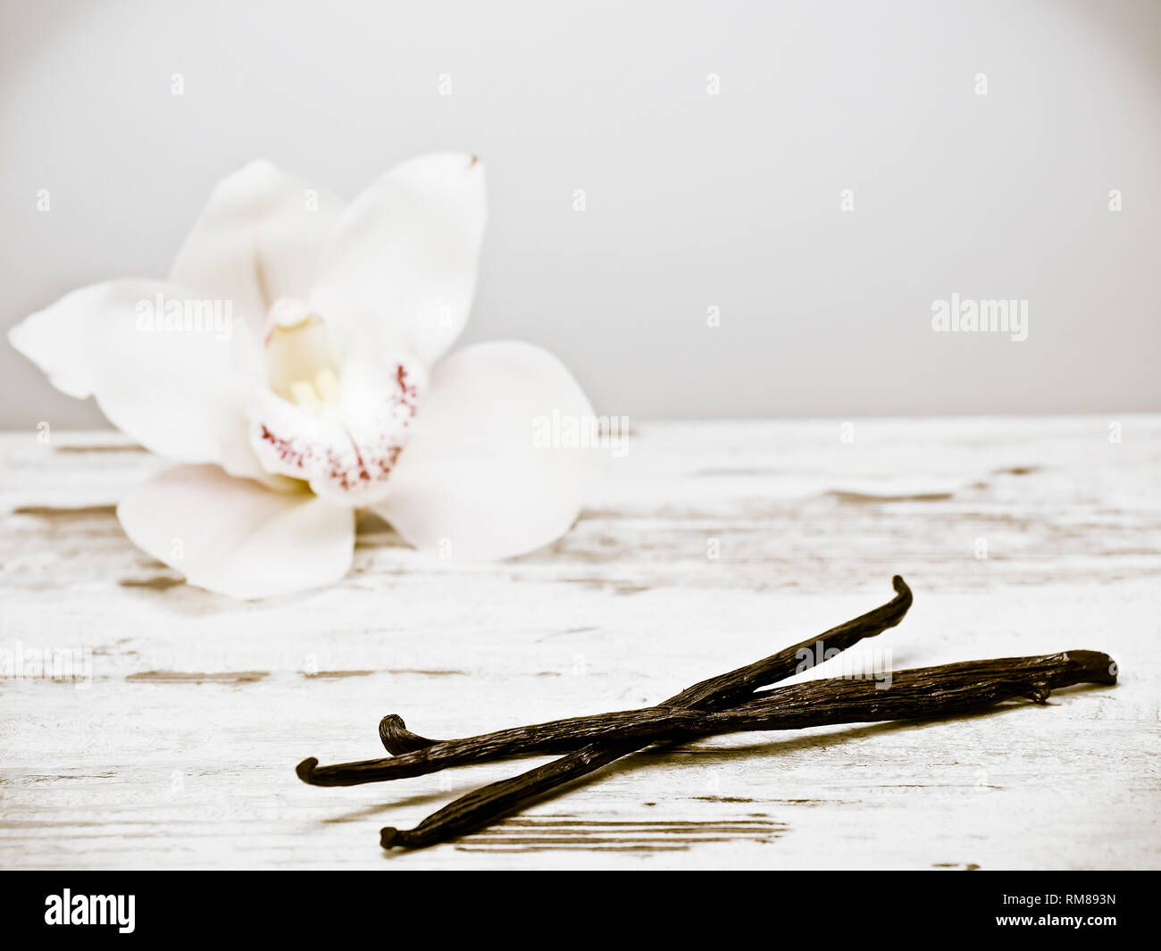 Getrocknete Früchte und Vanille Orchidee vanille Blume Stockfoto