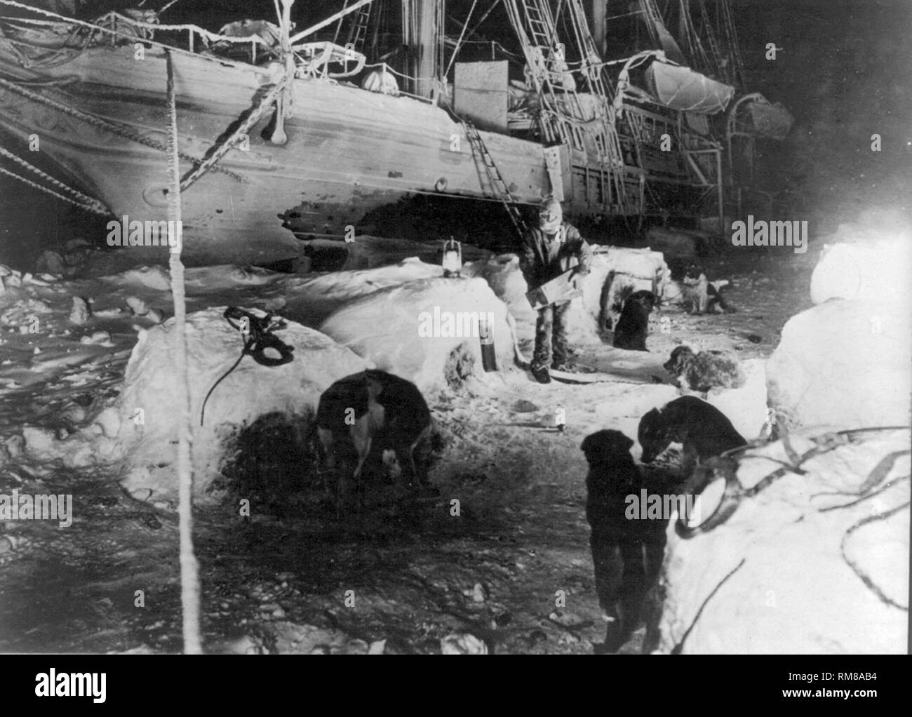 Hund Teams mit Eis Zwingern und Mitglied der Besatzung vor der Endurance Shackletons Schiff in die Bildung von Eis in der Antarktis nachts klemmt Stockfoto