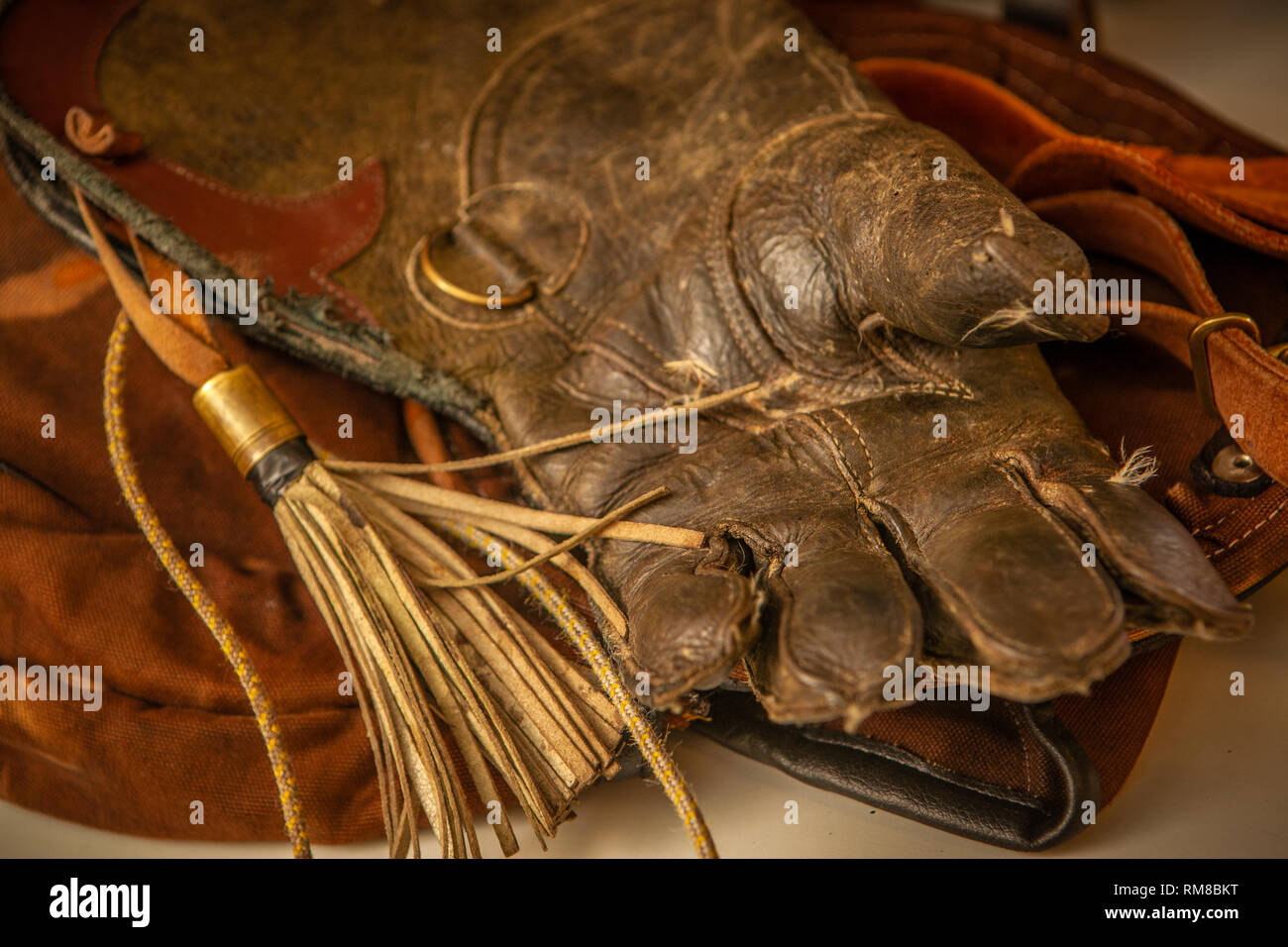 Falknerei Zubehör Stockfoto