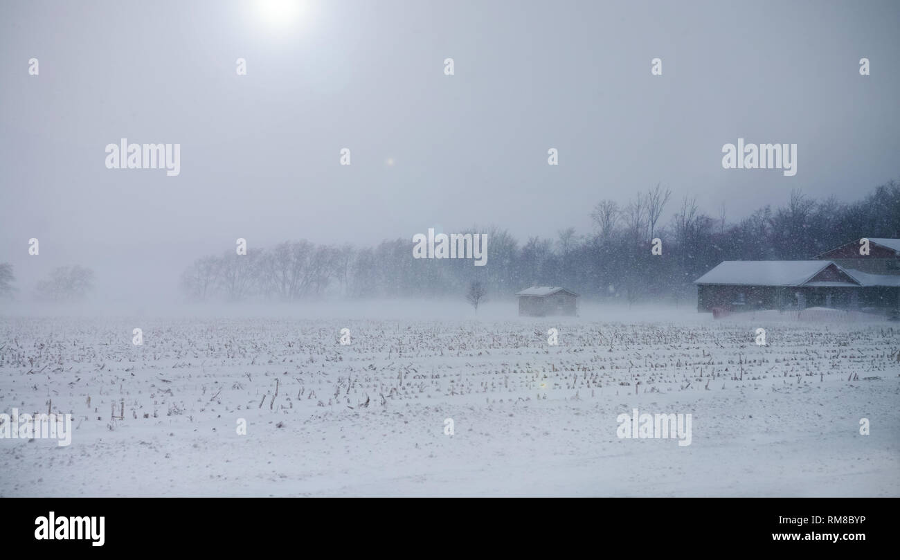 Eine Landschaft, die landwirtschaftlichen Feld im Winter. Ontario, Kanada. Stockfoto