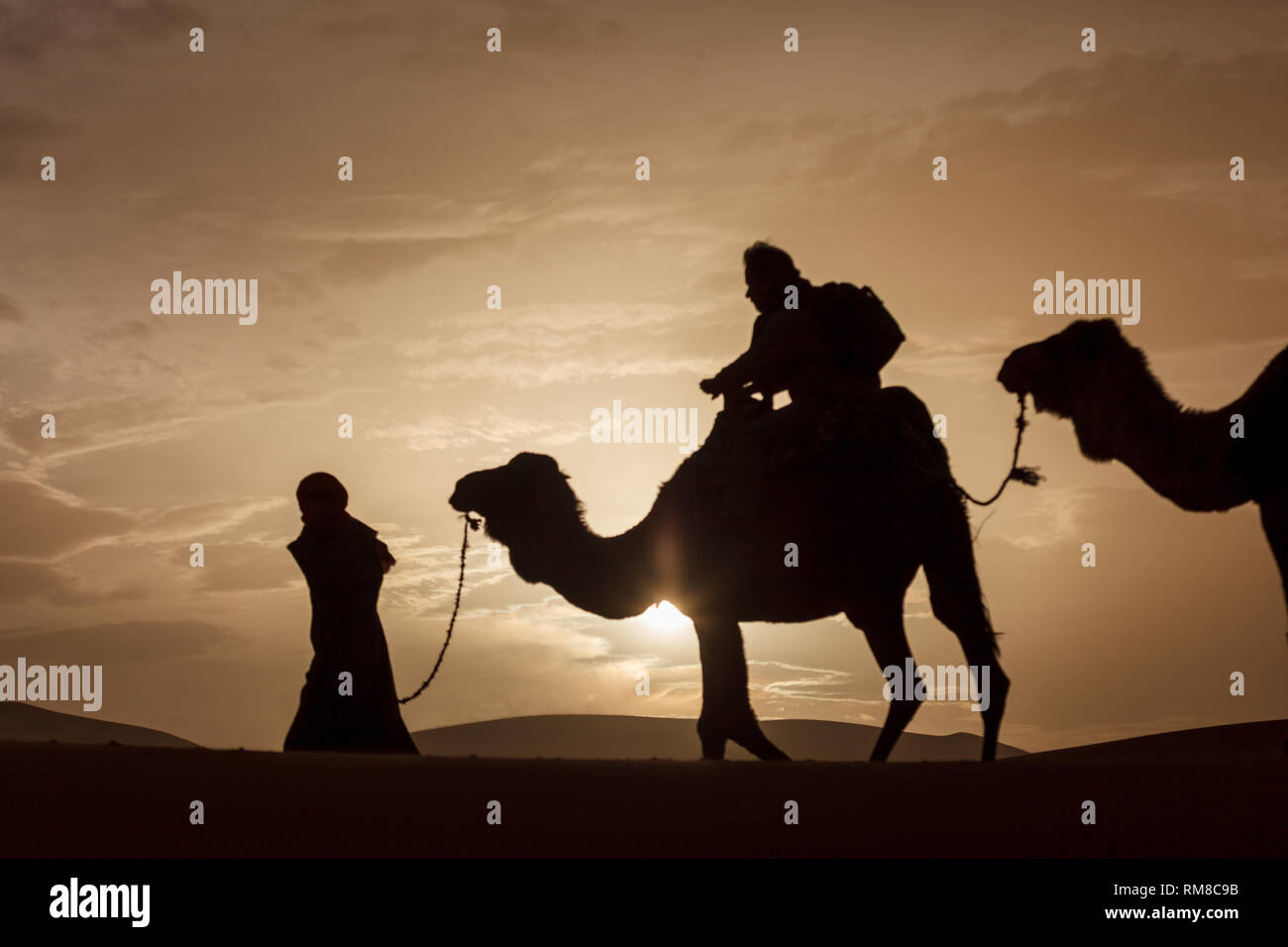 Berber mann Kamel Zug über Sahara Dünen Stockfoto