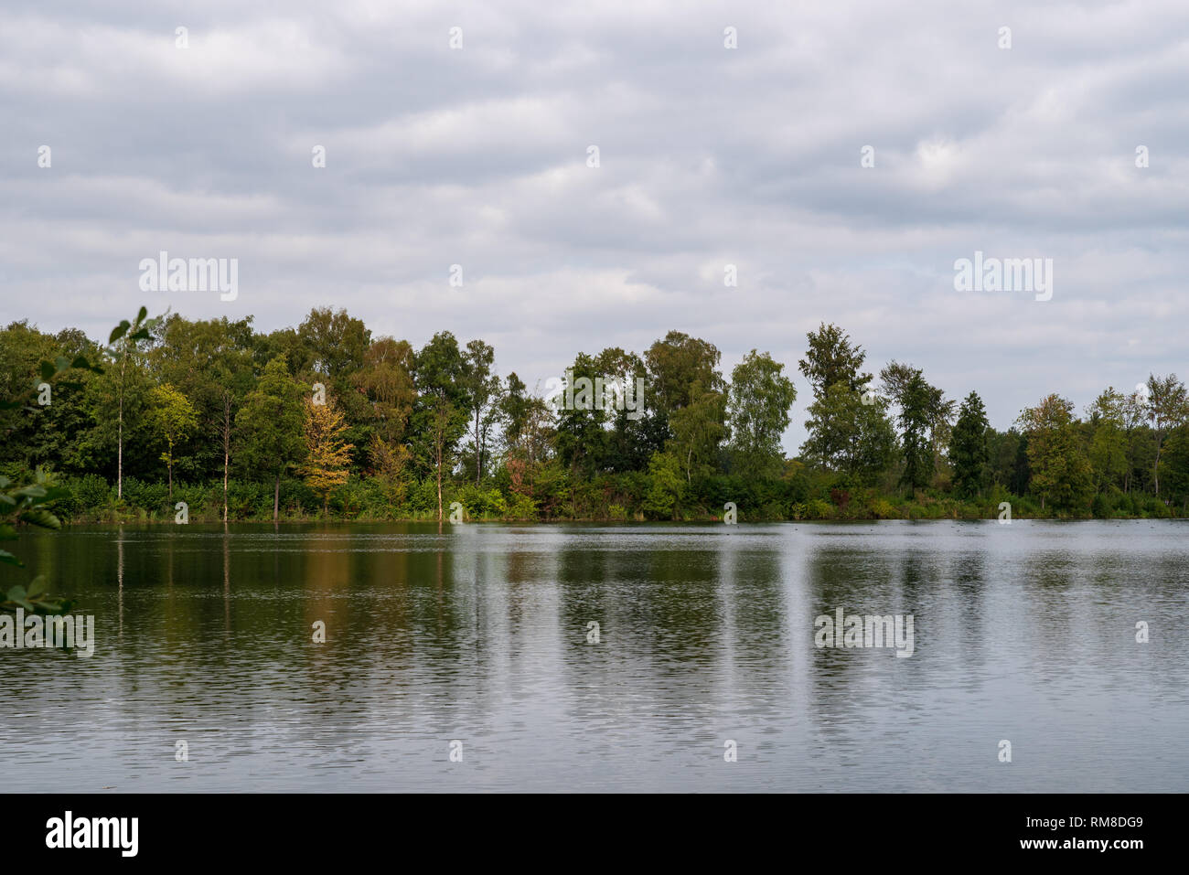 Blick über die Heide See in Bottrop, Deutschland Stockfoto