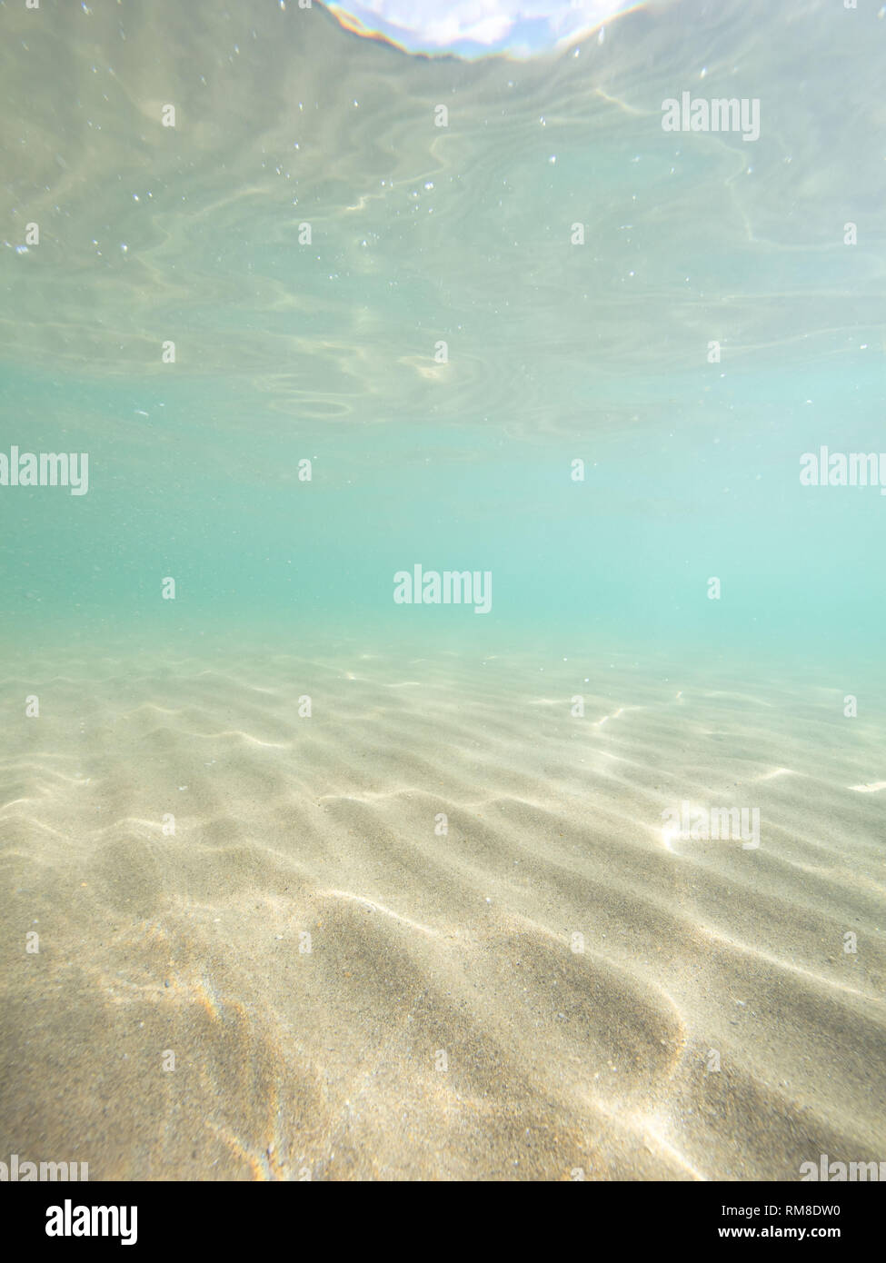 Ein Schuß unter Wasser an der South Sands, Salcombe, Devon. Stockfoto