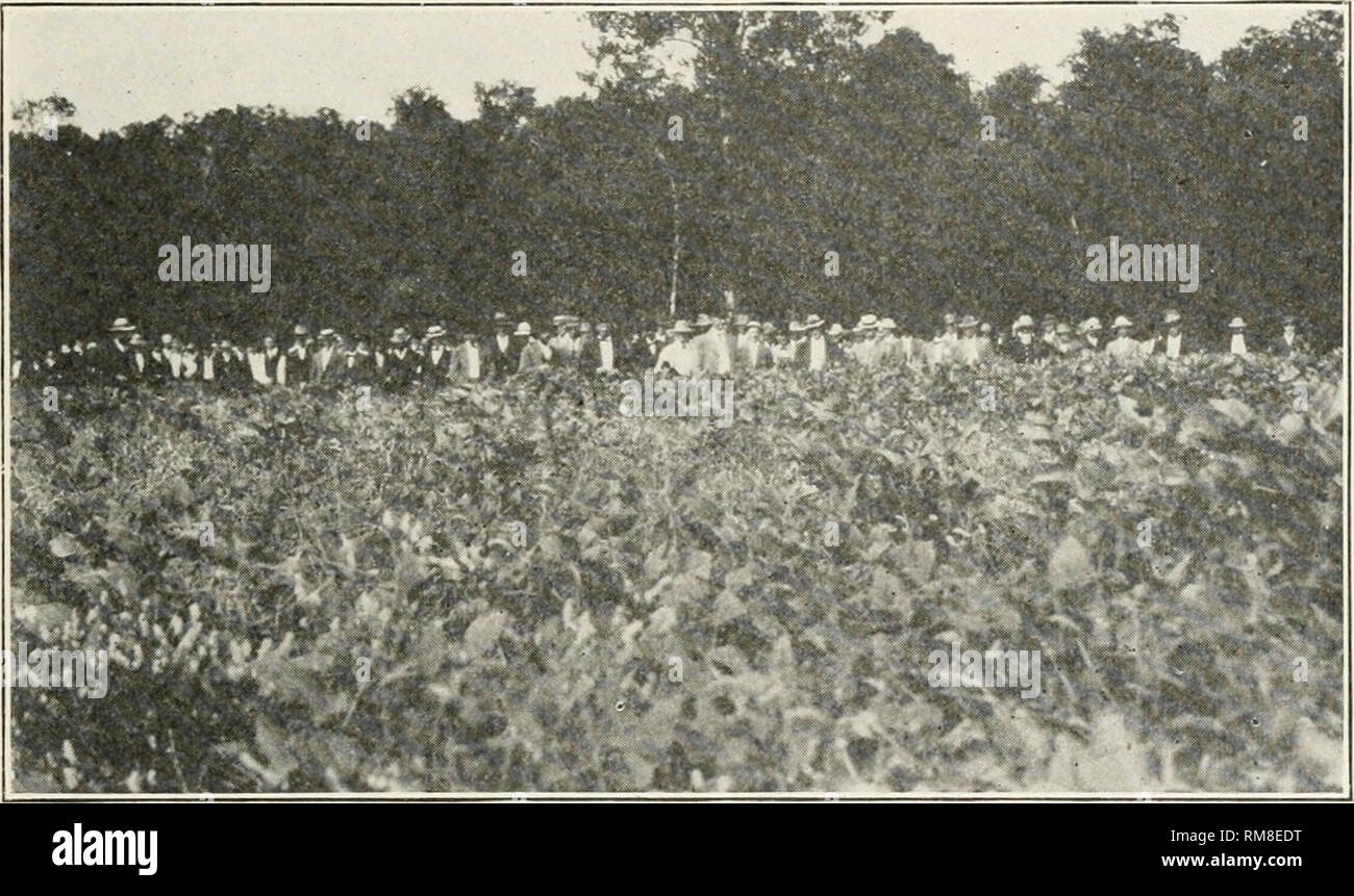 . Jahresbericht der Missouri State Board der Landwirtschaft. Missouri. Zustand der Landwirtschaft; Landwirtschaft - Missouri. Die Landwirte "Woche der Landwirtschaftlichen Hochschule. 131 Tatsache, die hier waren Menschen, die besser zu verstehen und mehr fidly die Probleme, die Möglichkeiten und die Freuden des Lebens auf der Farm zu schätzen wissen. "Erstens, es wurde auf die Bedürfnisse und die Objekte eines solchen Treffens genannt. Es wurde darauf hingewiesen, dass die Landwirtschaft ein Unternehmen anspruchsvolle Gehirne sowie Brawn, dass heute die Landwirtschaft ist eine weitaus kompliziertere Angelegenheit als in der Zeit unserer Vorfahren, wenn Männer konnten die Sahne abschöpfen von einem Stockfoto