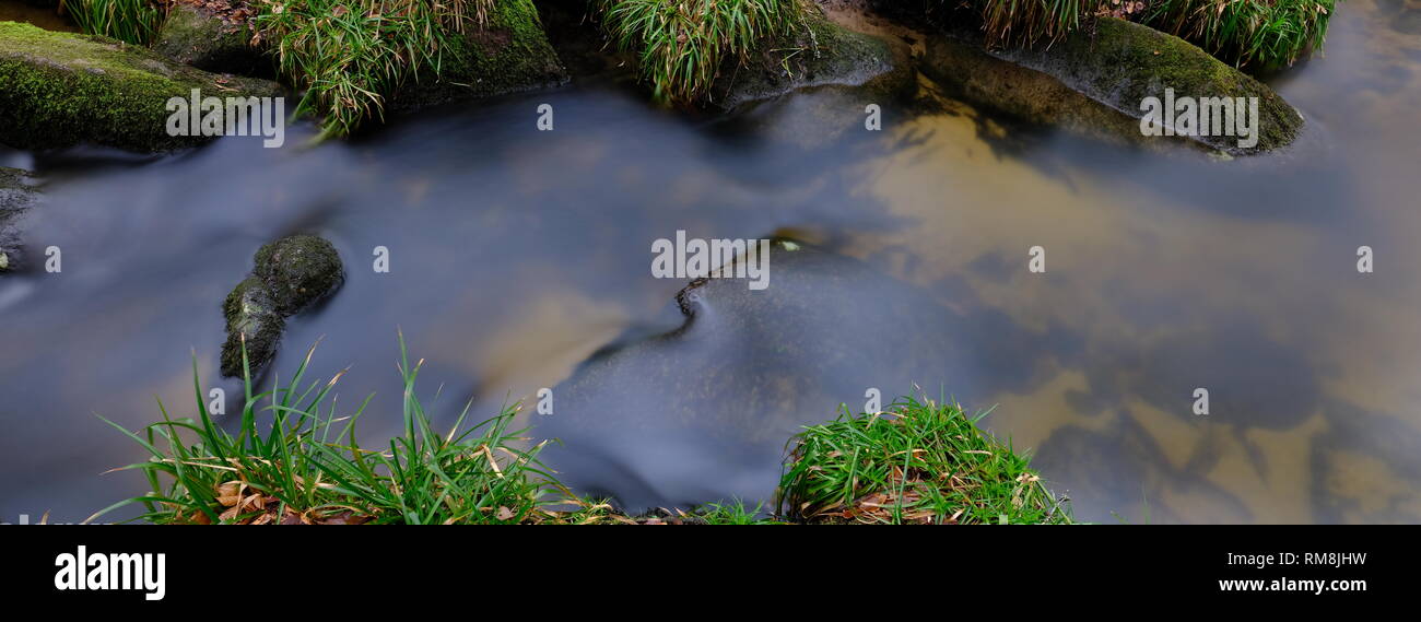 Golitha Falls und Draynes Woods Lanreath Bodmin Stockfoto