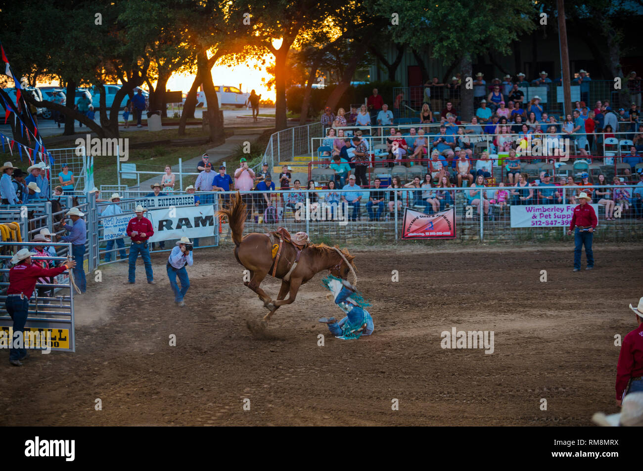 Ein saddle bronc rider Aussteigen an Rodeo in Texas USA gesträubt Stockfoto