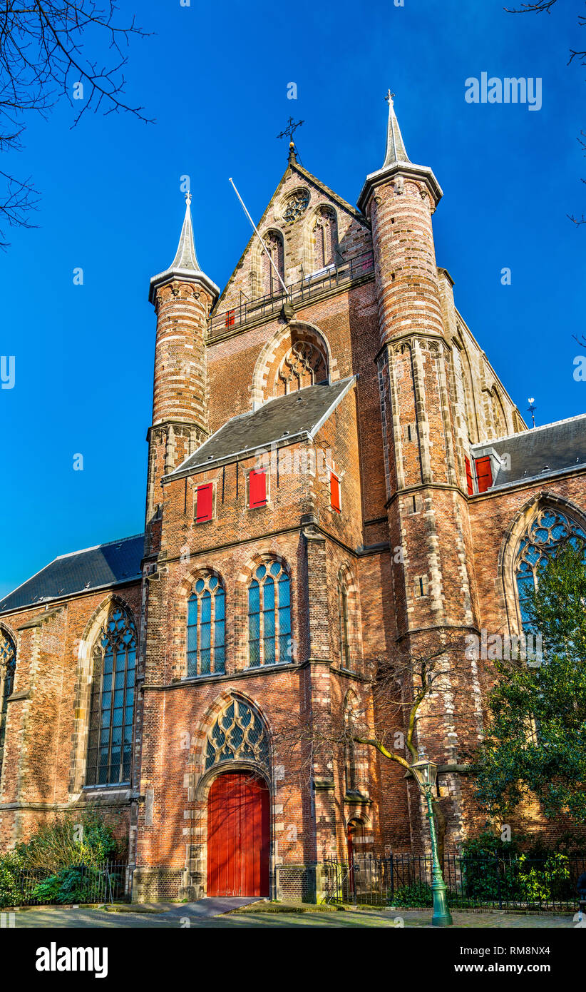 Die pieterskerk, einer spätgotischen Kirche in Leiden, Niederlande Stockfoto