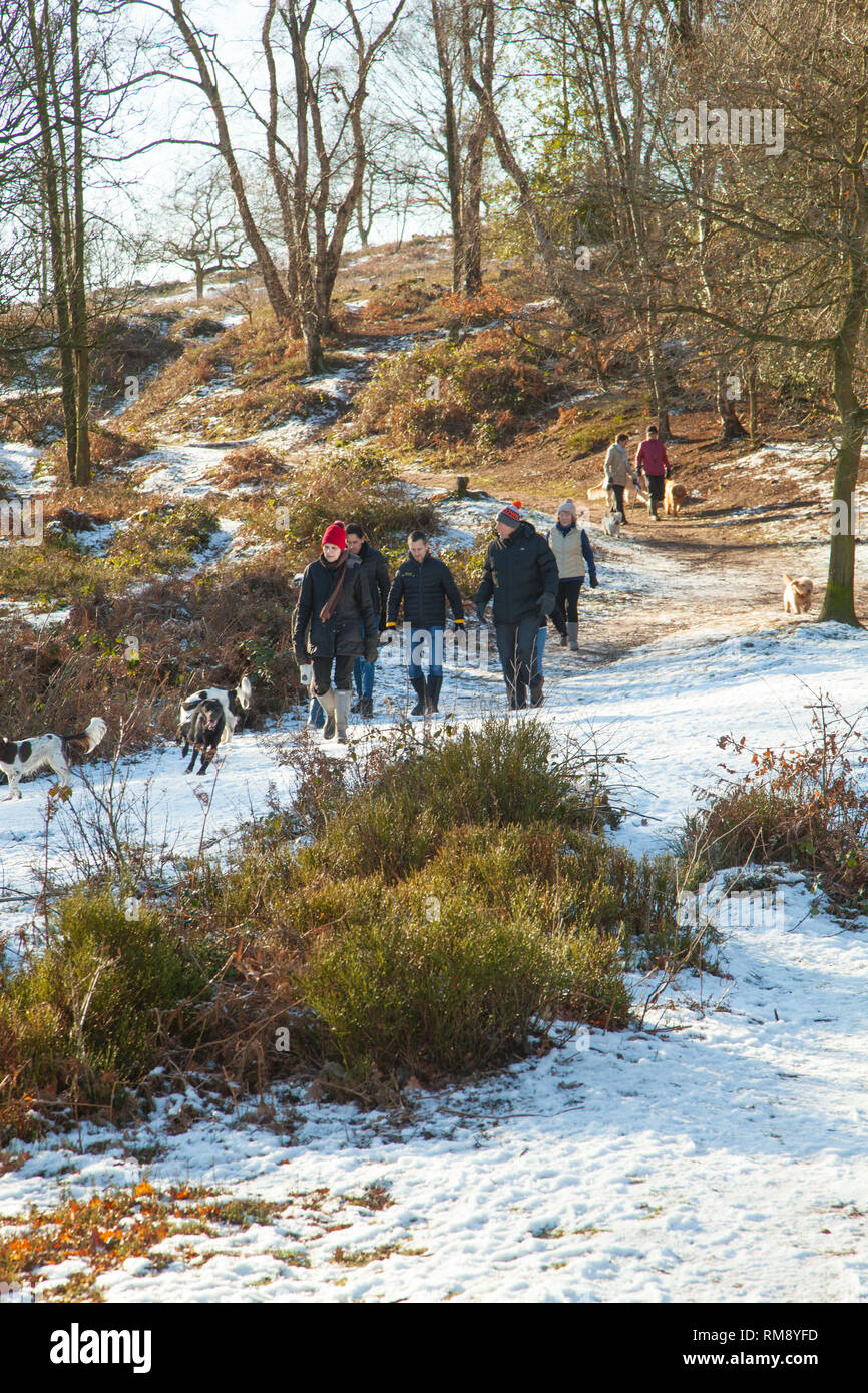 Menschen wandern im Schnee im Winter entlang der Sandstone Trail Wanderweg auf Bickerton Hügel Cheshire Stockfoto