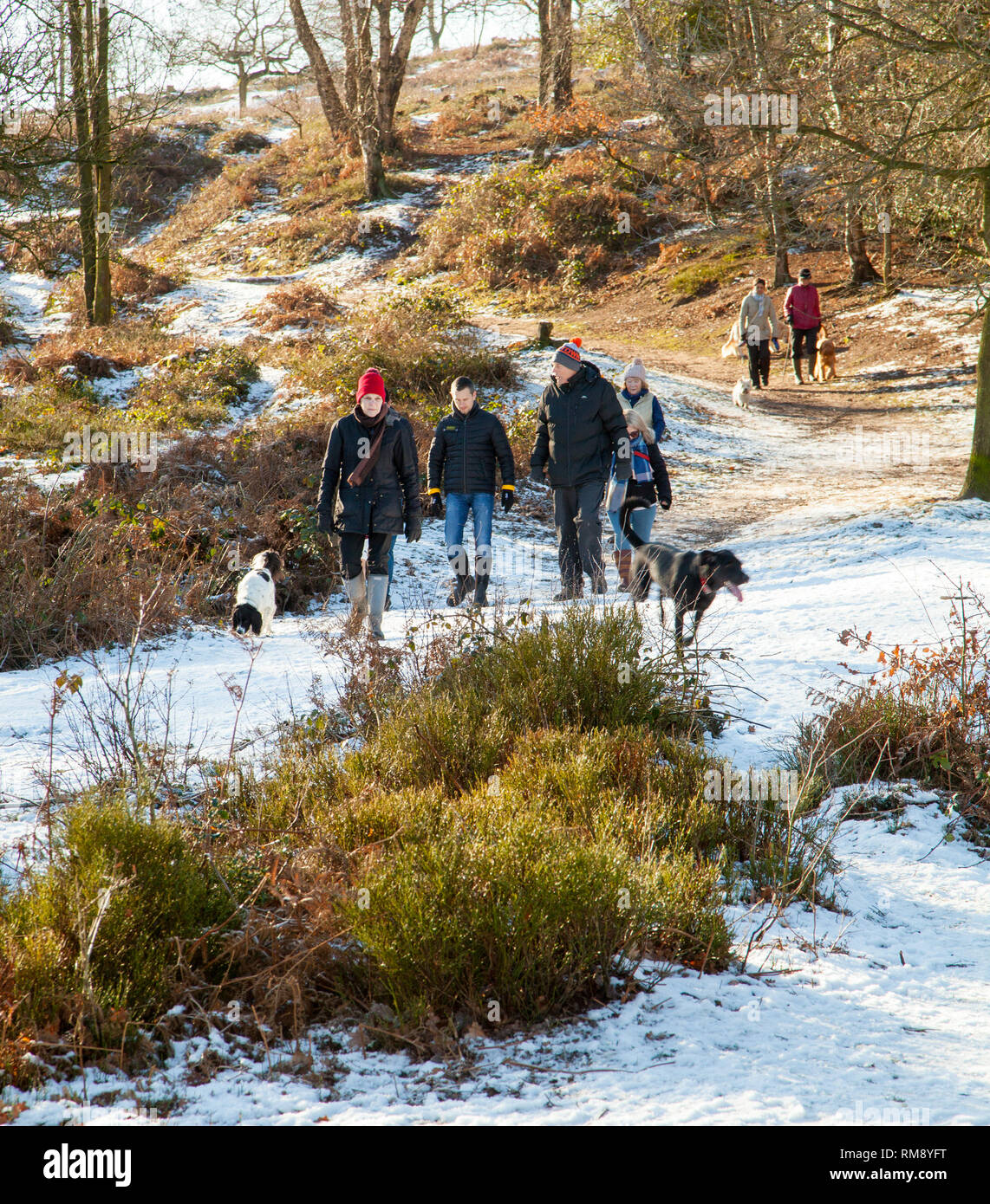 Menschen wandern im Schnee im Winter entlang der Sandstone Trail Wanderweg auf Bickerton Hügel Cheshire Stockfoto