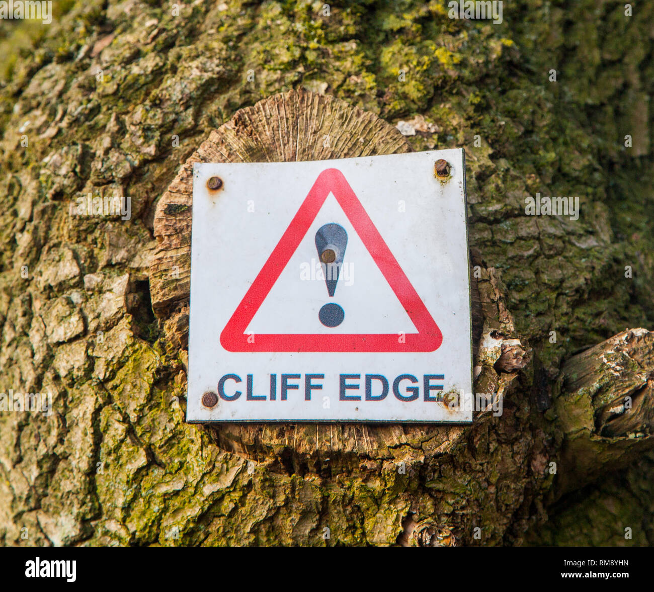 Schild an einem Baum Warnung vor einer Klippe vor Stockfoto