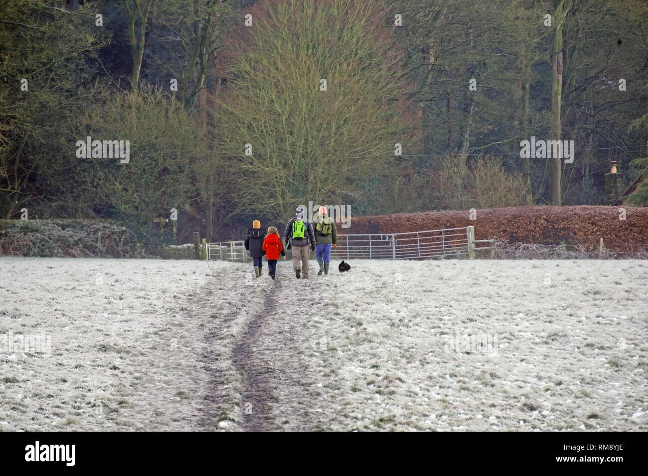 Familie mit jungen Kindern zu Fuß in die Landschaft von Cheshire im Schnee im Winter in der Nähe von burwardsley und der Sandstein Trail im Bickerton Hügel Stockfoto