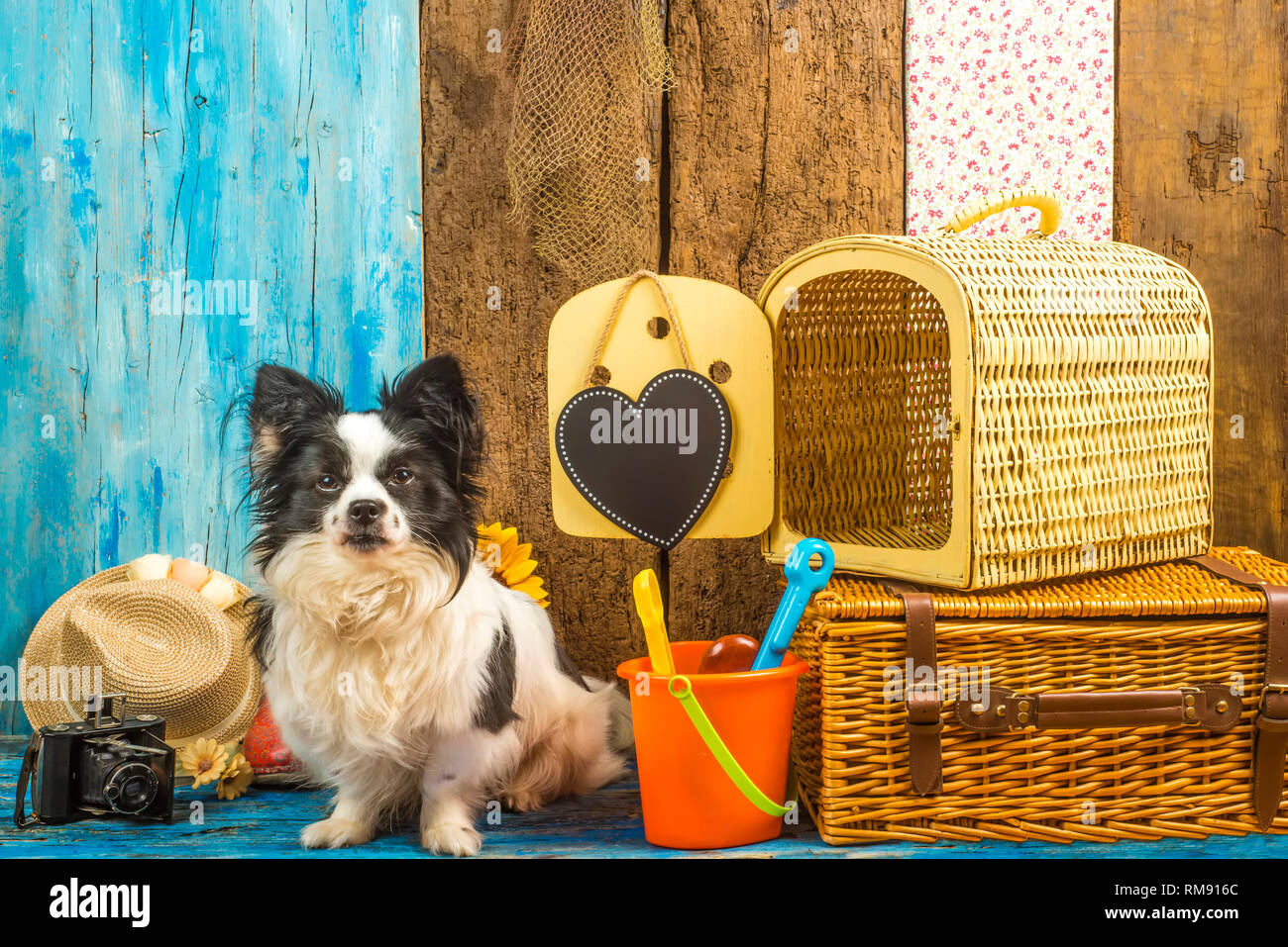 Lustig Hund mit Sommerurlaub Gepäck und Carrier Reisen bereit, an den Strand zu gehen Stockfoto