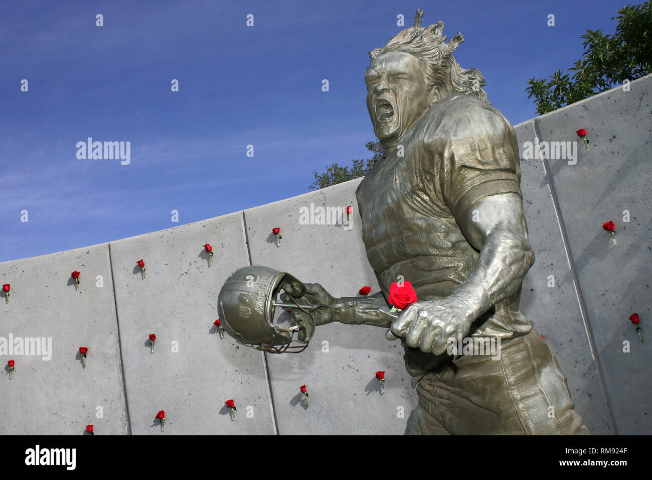 Die Statue zur Erinnerung an Pat Tillman verziert mit Rosen außerhalb der Universität von Phoenix Stadium in Glendale, Arizona. Stockfoto