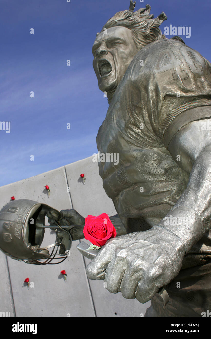 Die Statue zur Erinnerung an Pat Tillman verziert mit Rosen außerhalb der Universität von Phoenix Stadium in Glendale, Arizona. Stockfoto
