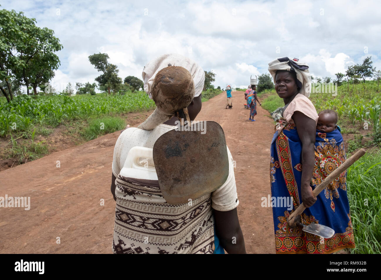 Frauen home durch die Maisfelder in Dowa, Malawi Stockfoto