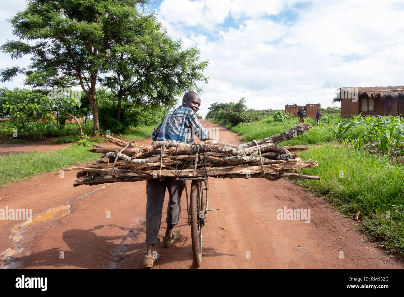 Ein dorfbewohner Sammeln von Brennholz auf seinem Fahrrad in Jubele, Dowa, Malawi Stockfoto