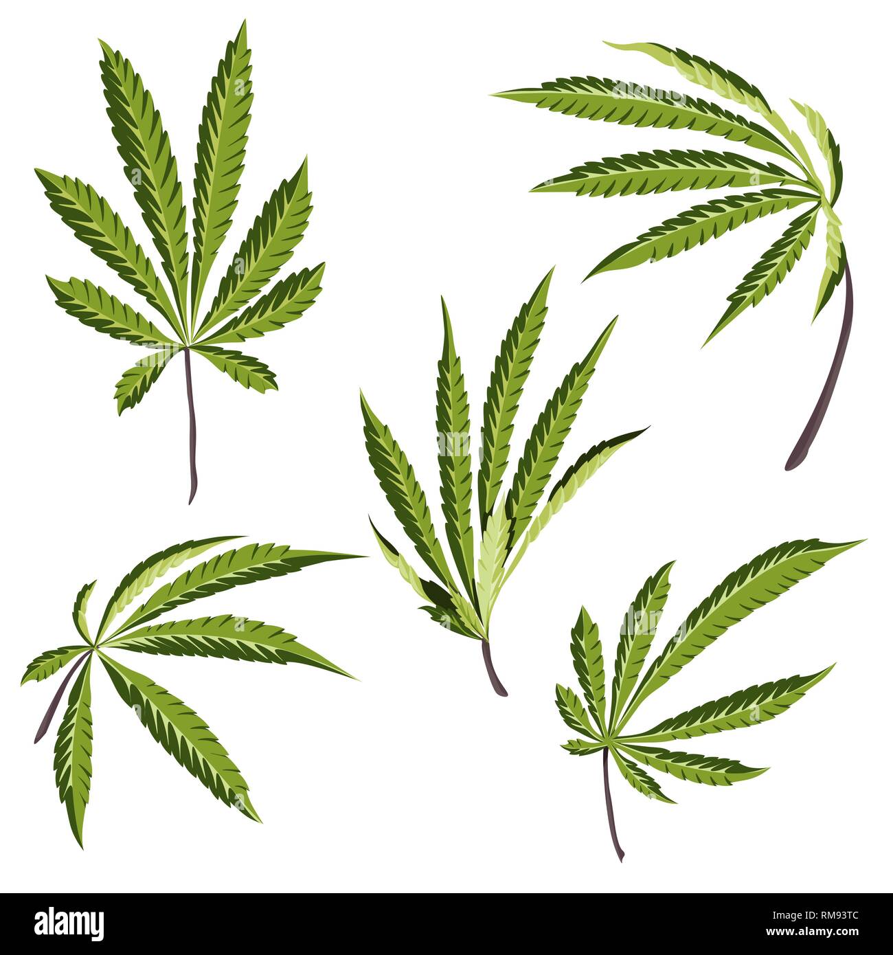Vektor Hanfpflanze Illustrationen Satz von 5 Blättern grüne Cannabis isolierten clip art Stock Vektor