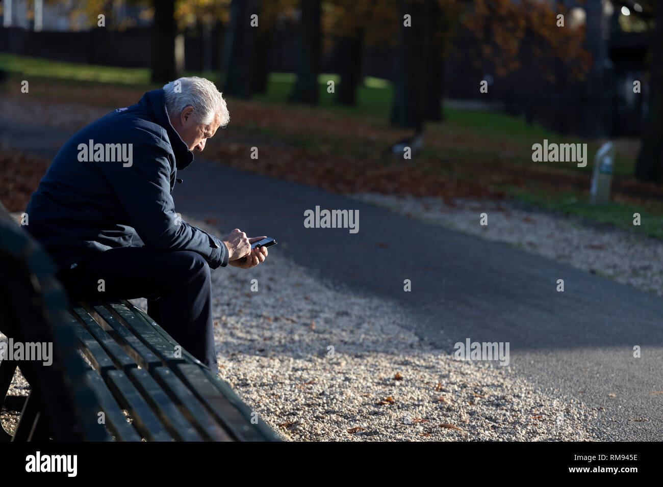 Ältere Mann sitzt auf einer Parkbank und Hantieren mit einem Mobiltelefon im Herbst mit der geringen Sonneneinstrahlung ihm die Beleuchtung von der Seite Stockfoto