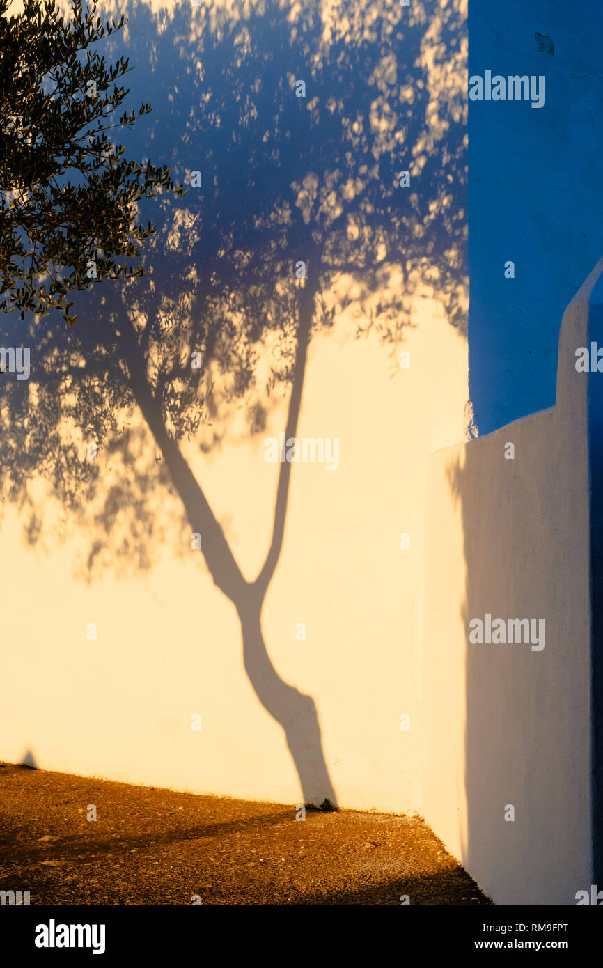 Baum Geistes und abstrakt Schatten im öffentlichen Friedhof inComares, Axarquia, Andalusien, Spanien. Stockfoto