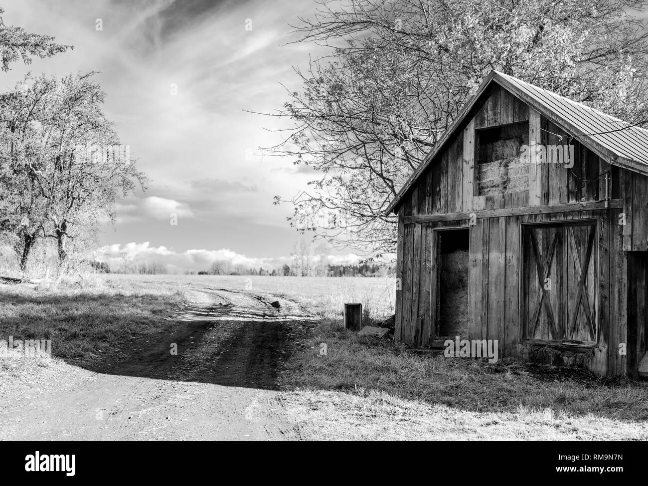 Alte verlassene Scheune mit Heu und eine Straße über Wiese ohne Türen und Fenster steht in der Mitte des Feldes als eine Erinnerung an die Vergänglichkeit o Stockfoto