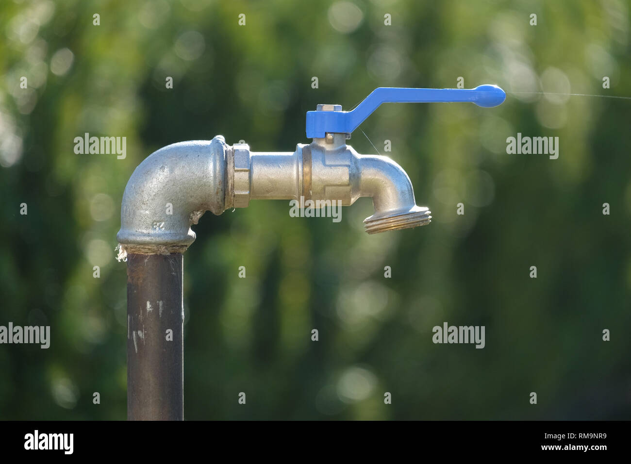 Ein Wasserhahn im Garten, ideal für Mahlzeiten im freien Wasser, ein  Anschluss für einen Schlauch ist verfügbar Stockfotografie - Alamy