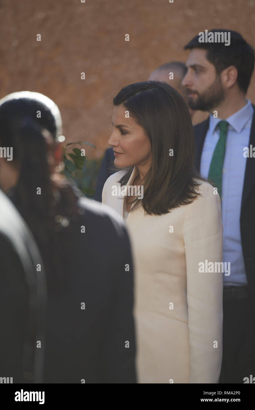 Rabat, Marokko. 14 Feb, 2019. Queen Letizia von Spanien, Prinzessin Lalla Meryem Marokko nimmt an einem Treffen mit Kindern und Jugendlichen in Empfang und Wiedereingliederung bei der Zweiten Chance Schule am Februar 14, 2019 in Sale-Rabat, Marokko. Die spanischen Royals sind auf einem zweitägigen Besuch in Marokko Credit: Jack Abuin/ZUMA Draht/Alamy leben Nachrichten Stockfoto