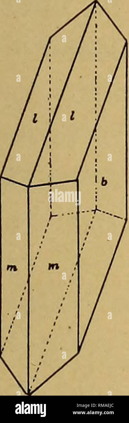 . Jahresbericht. New York State Museum; Wissenschaft; Wissenschaft. Gips ABLAGERUNGEN VON NEW YORK 9 (CaO) 32,5; Schwefelsäure anhydrid (SO.) 46,6; Wasser (HgO) 20.9. Der kristallisierte Vielzahl von Gips kann ein enger mit den diese Prozentsätze zeigen, aber die einfachen Rock und erdigen gyp-Summe in den Branchen enthält eine variable Anteil an Fremdstoffen, die Beträge in der Regel auf mehrere Prozent der gesamten Masse. Die Kristalle von Gips gehören zu der monoklinen System und sind in der Regel durch eine einfache Kombination von Flächen gebildet. Entsprechend der relativen Entwicklung der letzteren, können sie tabu. Stockfoto