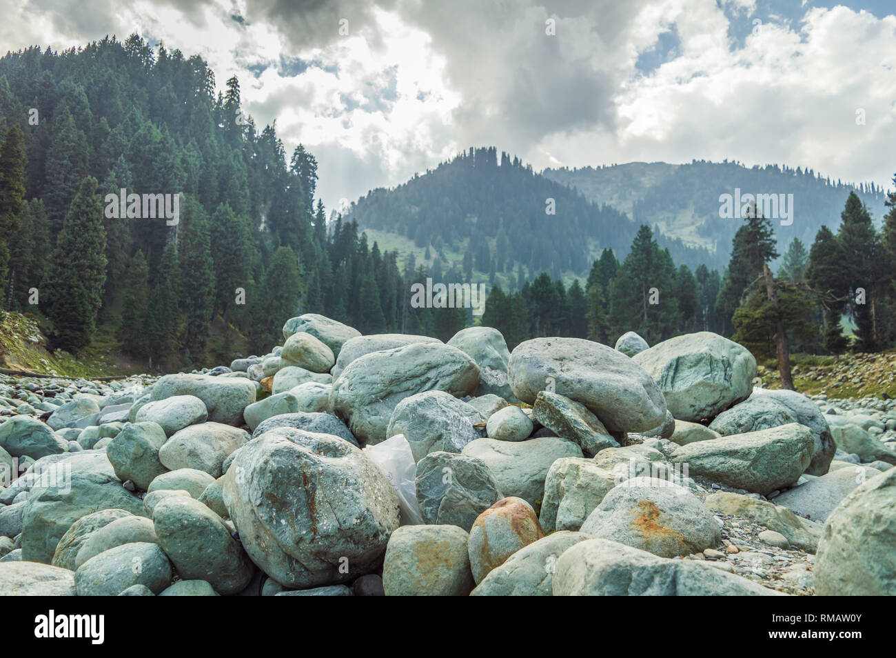Felsbrocken auf einem sehr steinigen Gelände wwith Kiefernwald und Berge im Hintergrund in Kaschmir Valley von Indien. Bergige Region des Himalaya Stockfoto