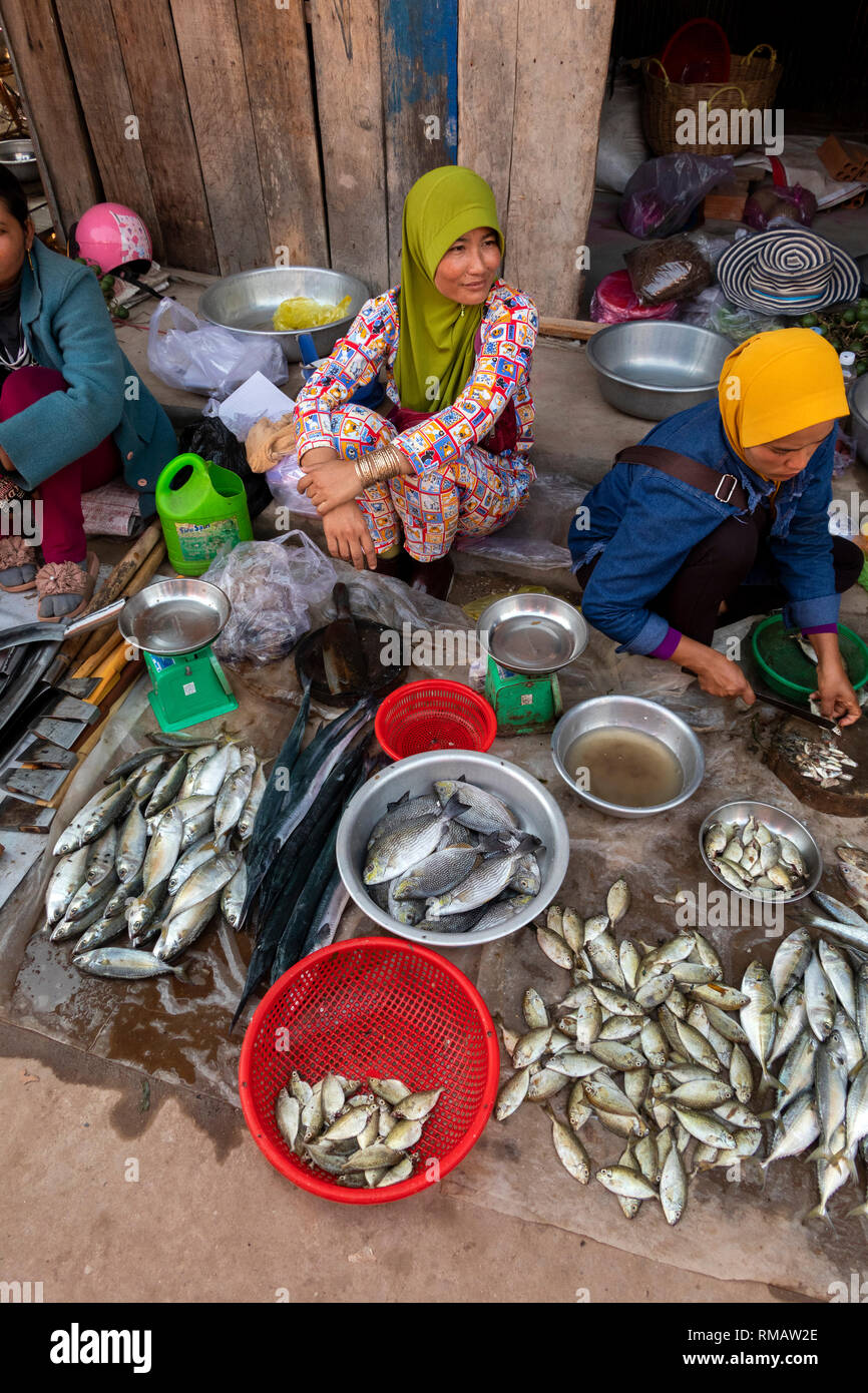 Kambodscha, Kampot Province, Kampot, Fischen Island Road, kleinen lokalen Markt, muslimische Frauen verkaufen lokal gefangener Fisch Stockfoto