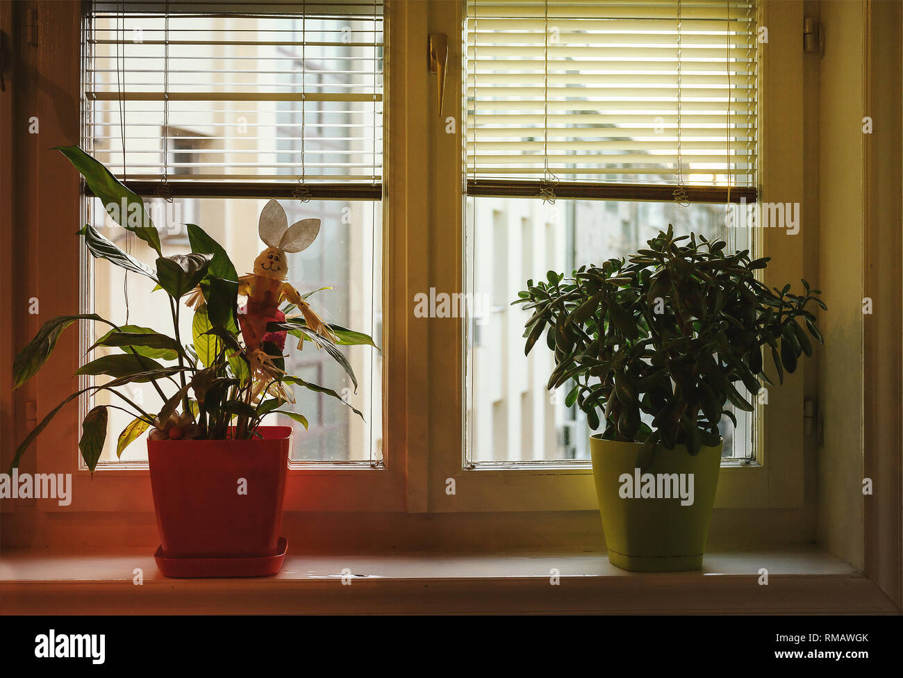 Home Dekoration, Blumen in Vasen vor dem Fenster. Stockfoto