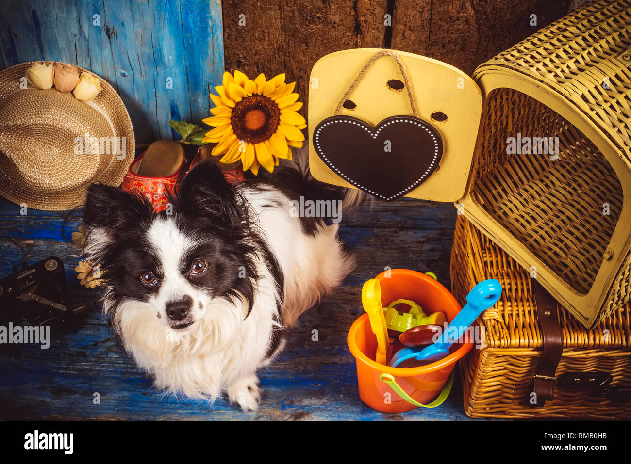 Kleine liebenswerte Hund sitzen auf Holzboden mit wicker Käfig bereit für Ferien zu gehen Stockfoto