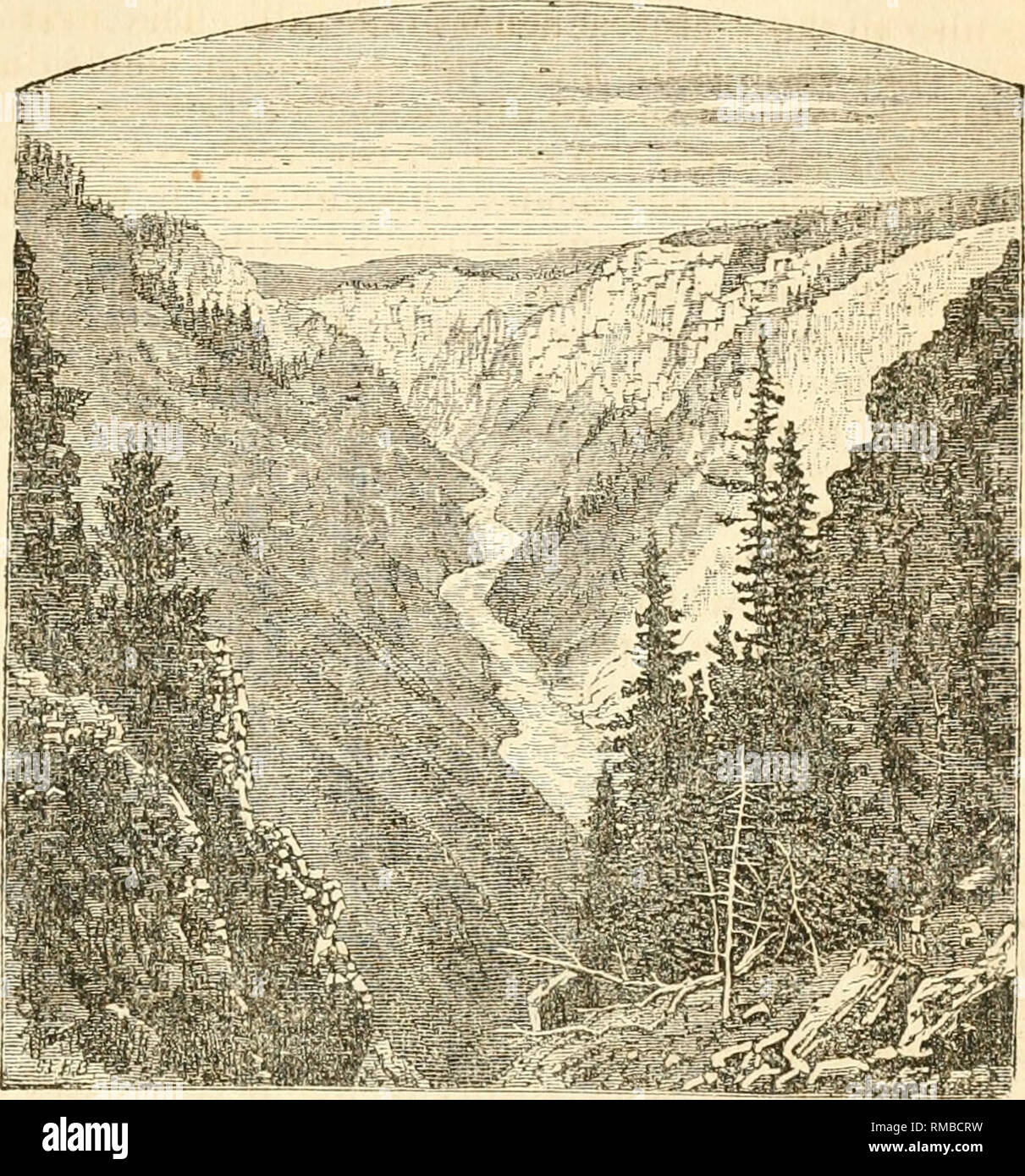 . Jahresbericht. 1 St-12th, 1867-1878. Geologie. Geologische ÜBERSICHT DER GEBIETE. 131 dieser Punkt. Das Schnitzen aus dem G-rand Caiion (Abb. -. 33) gibt uns eine ausgezeichnete Gelegenheit, die verschiedenen Felsen zugrunde liegen, dass das Tal zu studieren. An der Spitze der Grand Canon ist der untere Fall der Yellowstone, • Die in diesem Jahr durch Triangulation gemessen und gefunden wurde, 397 Fuß in der Höhe zu sein. In der Abb. - 33-Fuß der falUhe Tiefe der Canon ist 675 Meter. Dieser tiefe erhöht, da wir den Fluss hinunter gehen, und etwa eine halbe Meile unterhalb es ist 1.000 Meter, gemessen mit einem rauchbegrenzer-barom eter. Der Fall von tJi Stockfoto