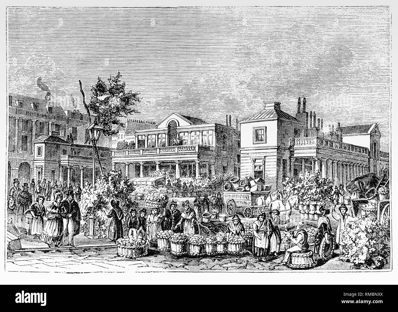 Covent Garden in London, am östlichen Rande des West End ist mit der ehemaligen Obst- und Gemüsemarkt auf dem zentralen Platz. Von 1654 eine kleine Open-Air-Obst- und Gemüsemarkt auf der Südseite des modischen Platz entwickelt. Schrittweise, sowohl für den Markt als auch die Umgebung fiel in Verruf, als Tavernen, Theater, Kaffeehäuser und Bordelle eröffnet. Vom 18. Jahrhundert hatte eine rot-Light District. Ein Akt des Parlaments ausgearbeitet, um den Bereich zu kontrollieren, und Charles Fowler's neo-klassischen Markt Gebäude wurde im Jahre 1830 errichtet. Stockfoto