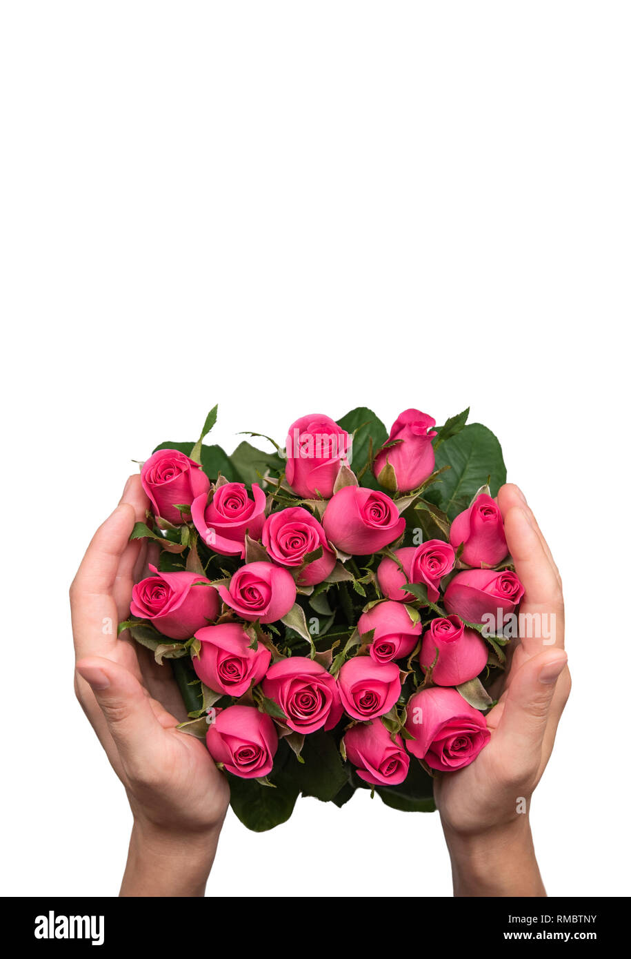 Frauen Hände mit einem Blumenstrauß aus Rosen. Stockfoto