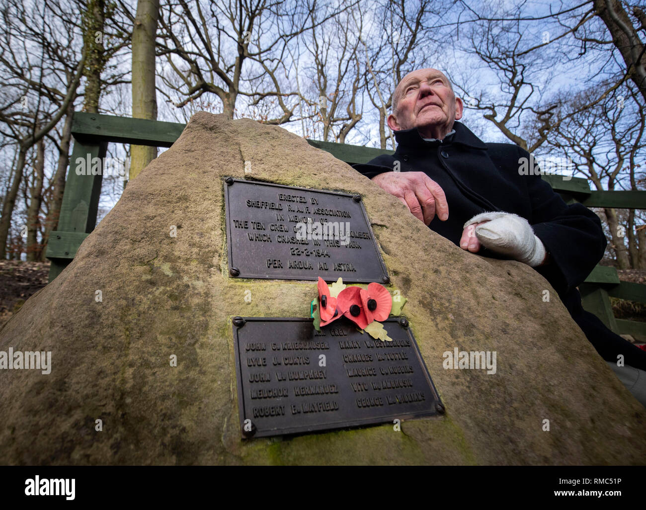 Tony Foulds, 82, vor der Mi Amigo memorial Flypast über endcliffe Park, sheffiled, der findet am Freitag, den 22. Februar, mit Kampfjets und andere militärische Flugzeuge aus Großbritannien und den Vereinigten Staaten. Er hat seit Jahrzehnten verbrachte, um die Gedenkstätte in Endcliffe Park, Sheffield, zu 10 amerikanische Flieger, die starb, als ihr Flugzeug vor ihm vor 75 Jahren stürzte gewidmet. Stockfoto