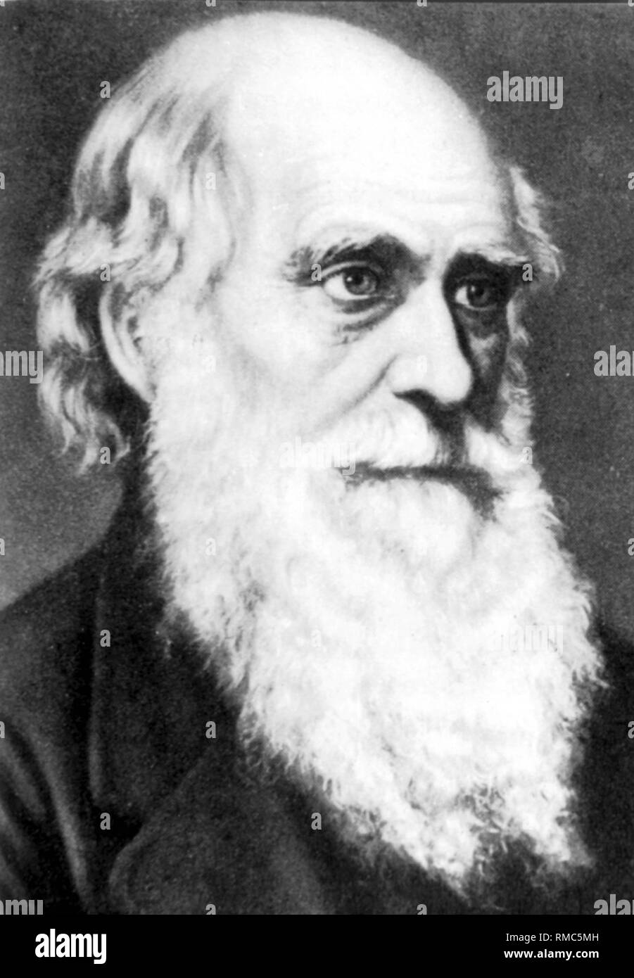 Porträt der britischen Naturforscher Charles Robert Darwin. Stockfoto
