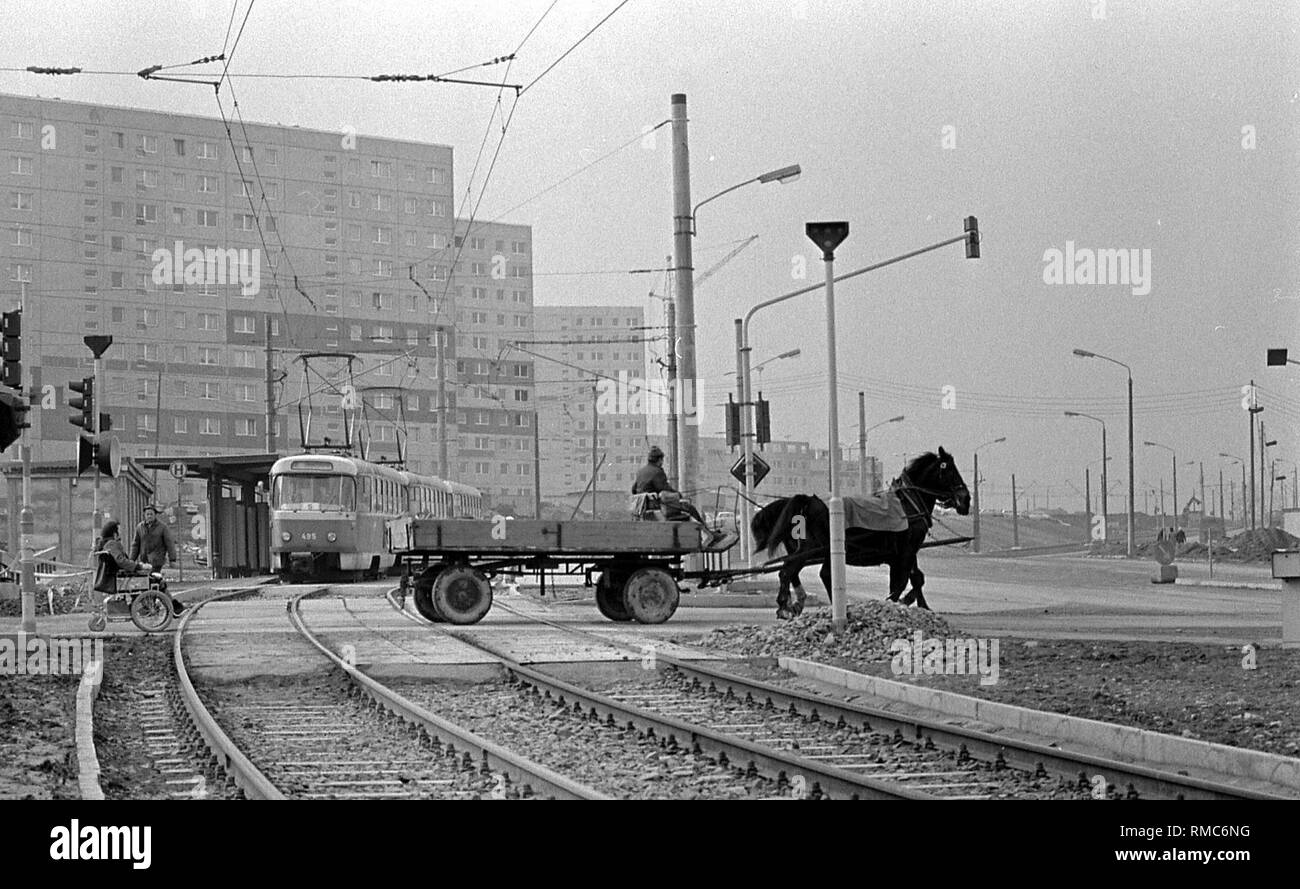 Eine Pferdekutsche kreuzt den Straßenbahnschienen in Karl-Marx-Stadt (heute Chemnitz). Stockfoto