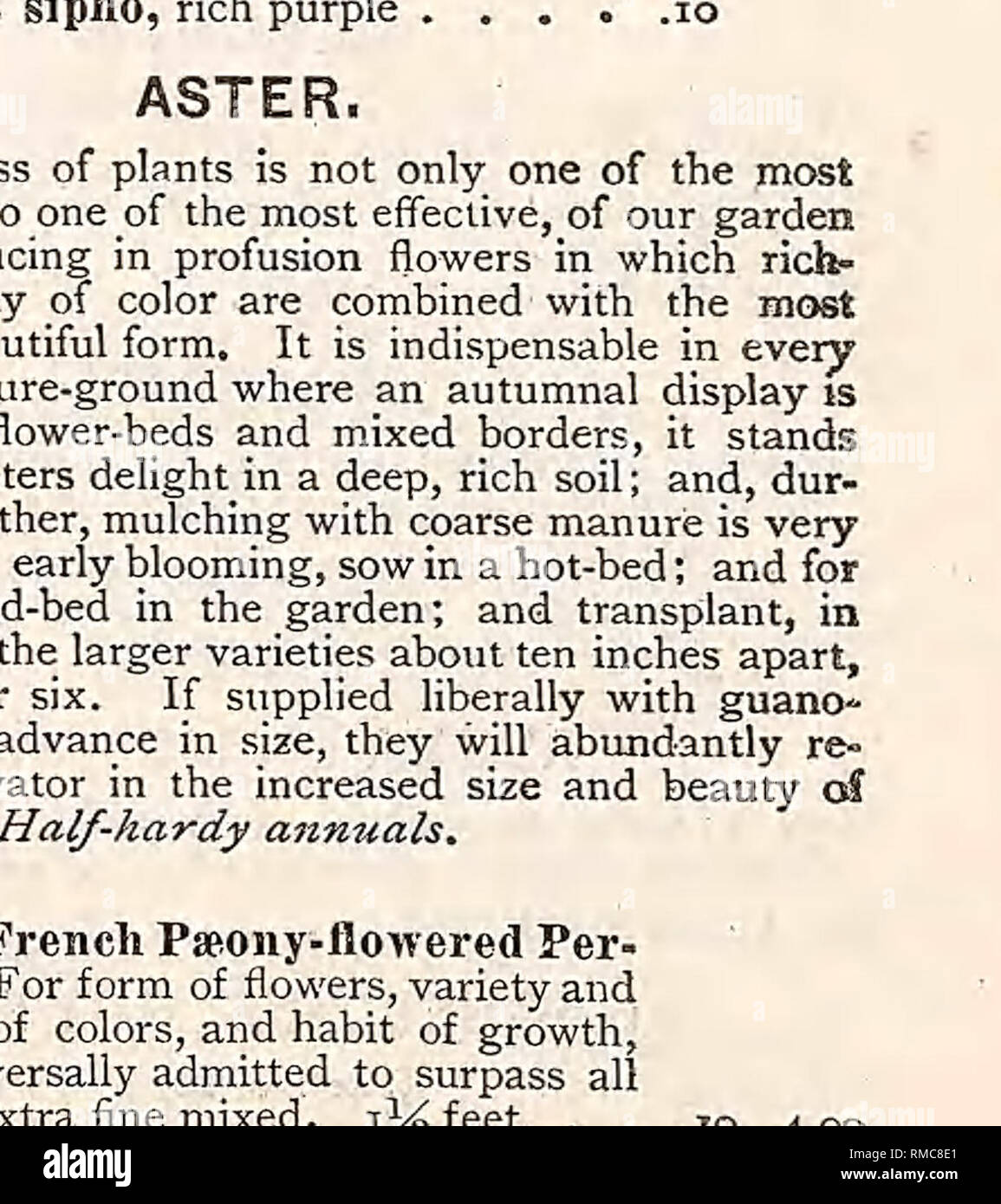 . Jährliche dargestellt, Beschreibender Katalog der Samen, Pflanzen, Reben, kleinen Früchten. Baumschulen (Gartenbau); Baumschulen; Gemüse; Samen; Blumen, Sträuchern, Zierpflanzen, Obst Bäume; Gartenbau; Ausrüstungen und Zubehör; Parker &Amp; Holz (Firma). ASTER-Cotttinued. pkt. 33. Truffaut ist Pseony-blühenden Perfektion. Die Sammlung enthält 6 verschiedene Farben. .40 84. Kokarde oder Krone. Die Blumen sind sehr gut gefüllt, mit schönen weißen Zentren, Bor - mit Purpur, Scharlach, violett oder blau Ihre, wodurch die. n sehr attraktiv. Gemischt. ft •-IO 35. Kokarde oder Krone, Sammlung Contam-V '%6 verschiedene Stockfoto