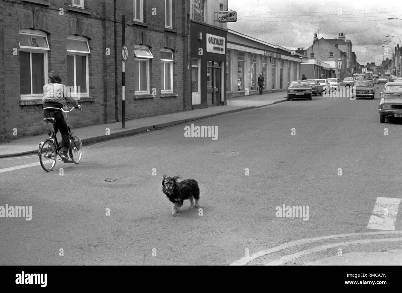 1970 in der Grafschaft Limerick, Limerick, Irland. Westküste des südlichen Irland 70 s HOMER SYKES Stockfoto