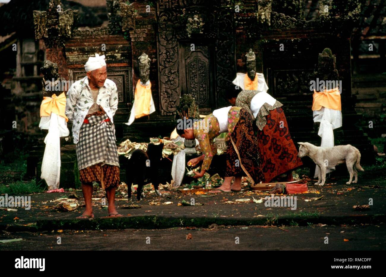 Die Gläubigen und die Hunde in der Mitte der Angebote vor einem Schrein in einem Tempel in der Nähe von Ubud. Stockfoto