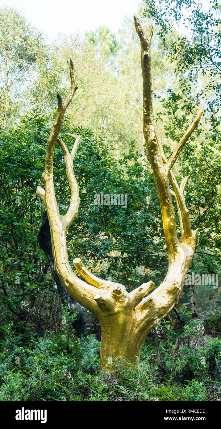 Das Golden Tree (arbre d'Or) im mystischen Wald von Broceliande in der Bretagne Stockfoto