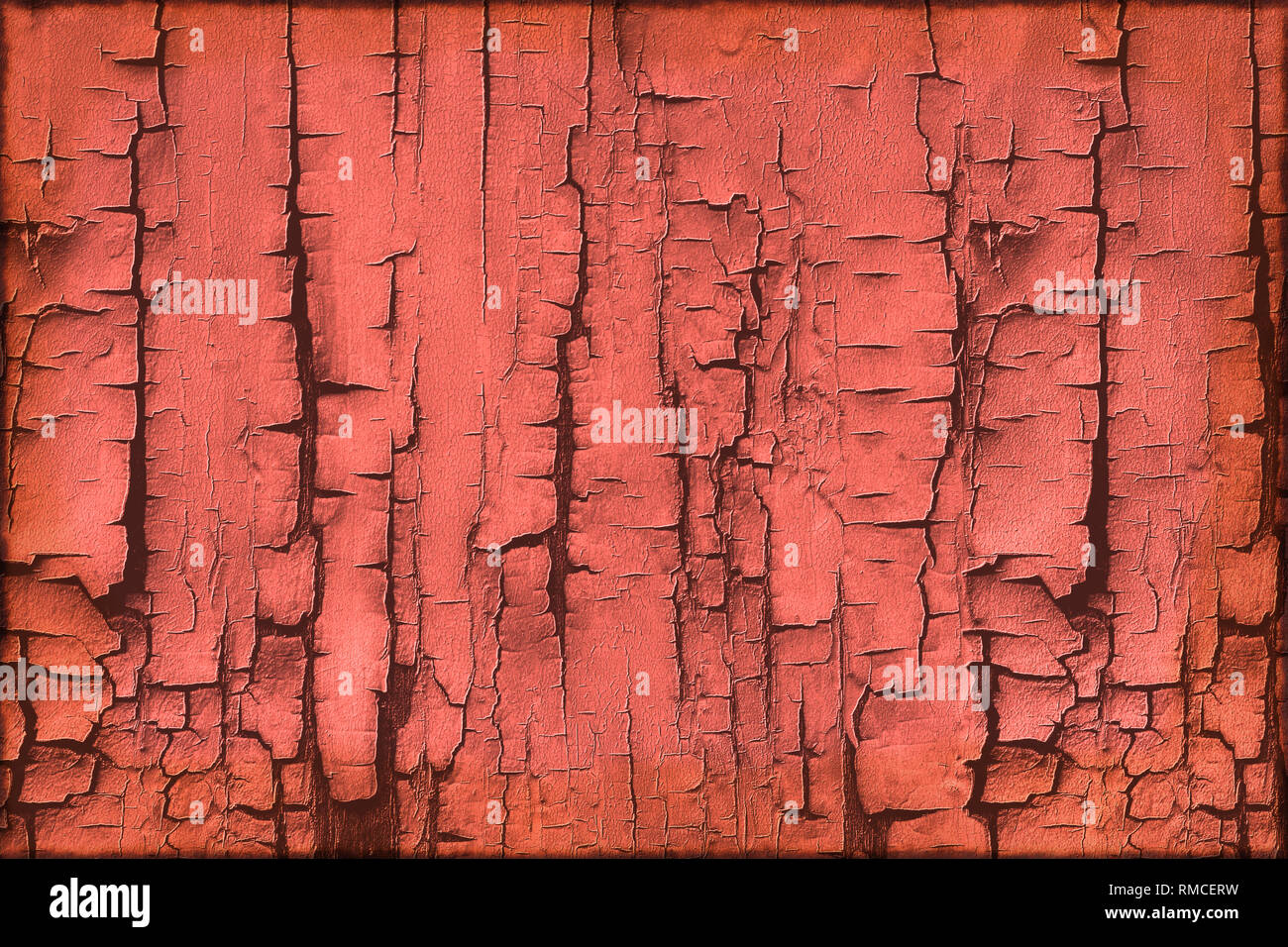 Baumrinde Struktur mit der Trendfarbe 2019 Livin Coral Stockfoto