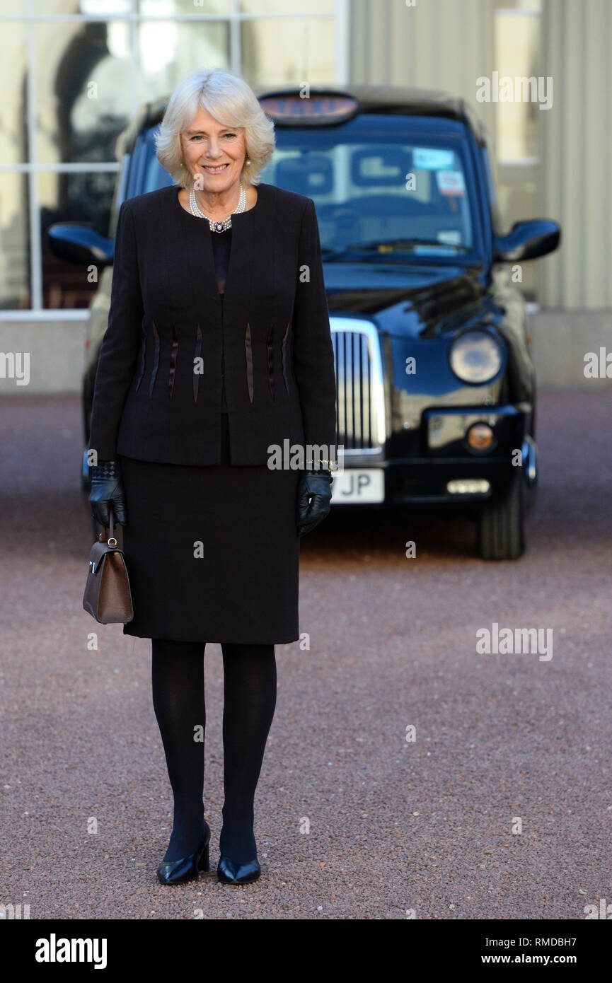 Die Herzogin von Cornwall vor einem emissionsarmen Taxi, als sie einen Empfang für die Londoner Taxifahrer-Wohltätigkeitsorganisation für Kinder im Buckingham Palace in London veranstaltet. Stockfoto