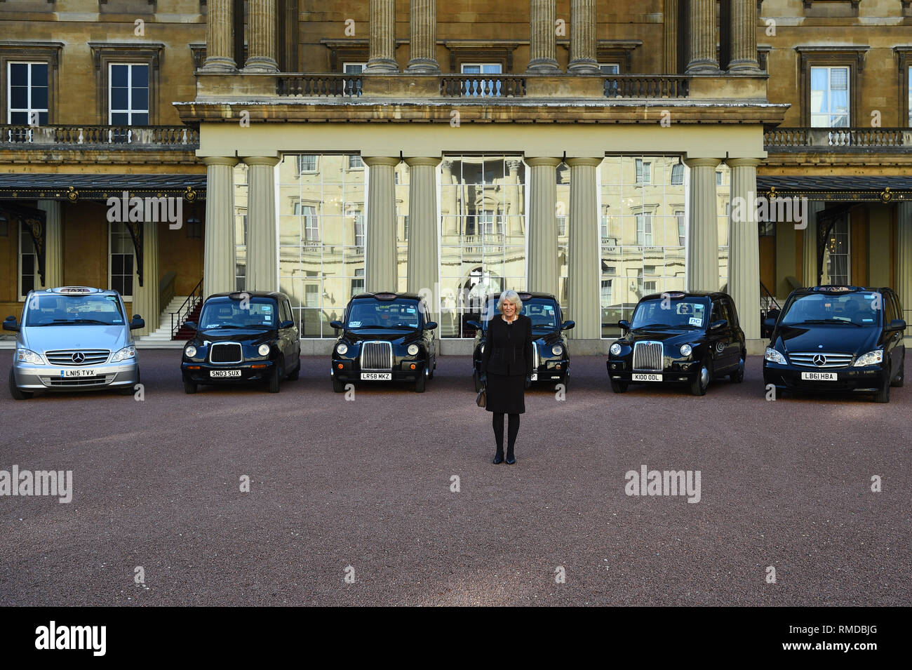 Die Herzogin von Cornwall vor sechs schadstoffarme Taxis, als Sie Hosts einen Empfang für die Londoner Taxi DriversÕ Nächstenliebe für Kinder am Buckingham Palace in London. Stockfoto