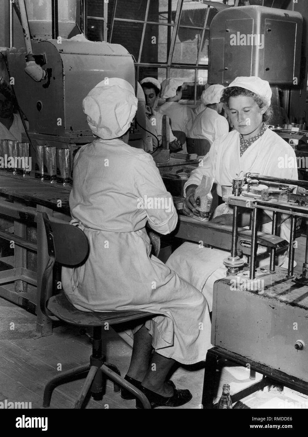 Frauen auf einem Förderband in der Zuckerfabrik, 1950er Jahre Stockfoto